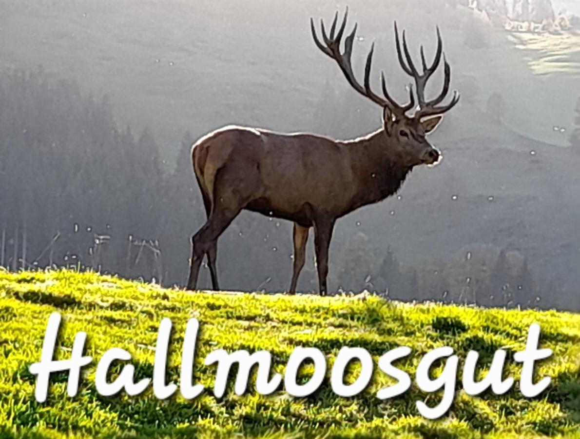 Hallmoosgut St. Johann im Pongau Exterior foto