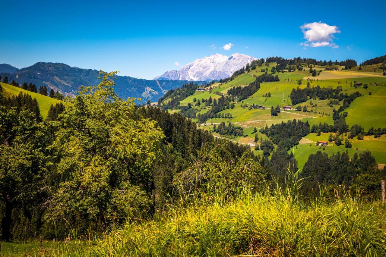 Hallmoosgut St. Johann im Pongau Exterior foto