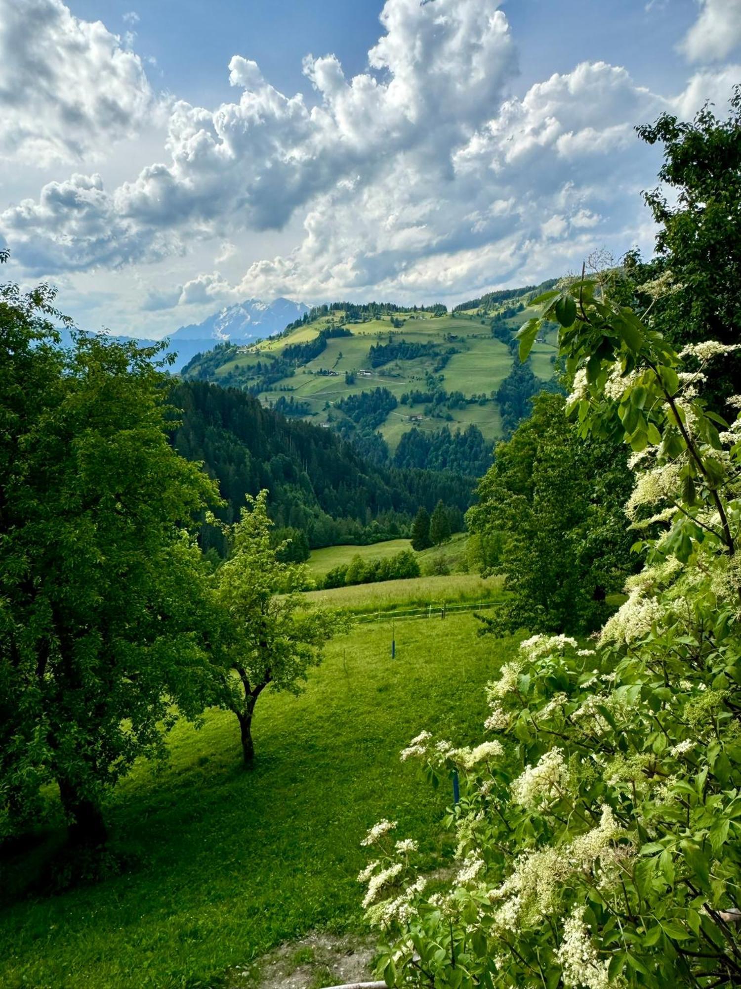 Hallmoosgut St. Johann im Pongau Exterior foto